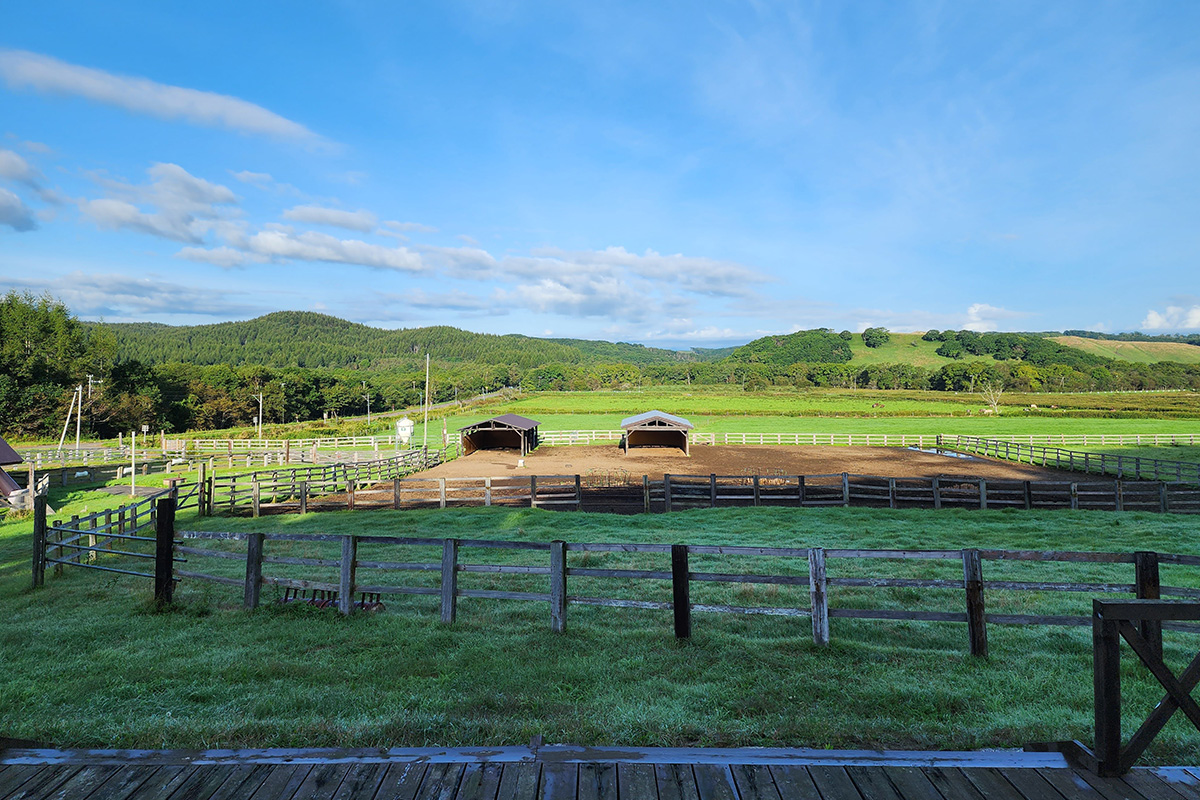 ギャラリー画像3