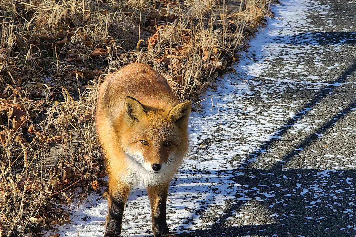 ギャラリー画像4