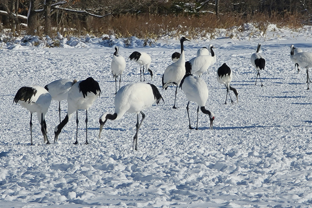 ギャラリー画像5