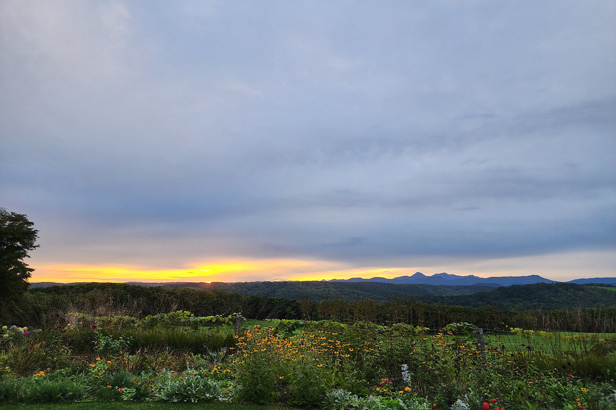 ギャラリー画像6