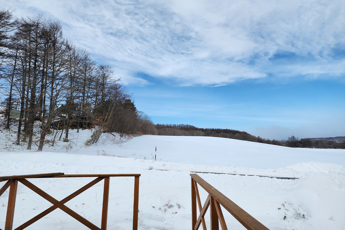 ギャラリー画像8