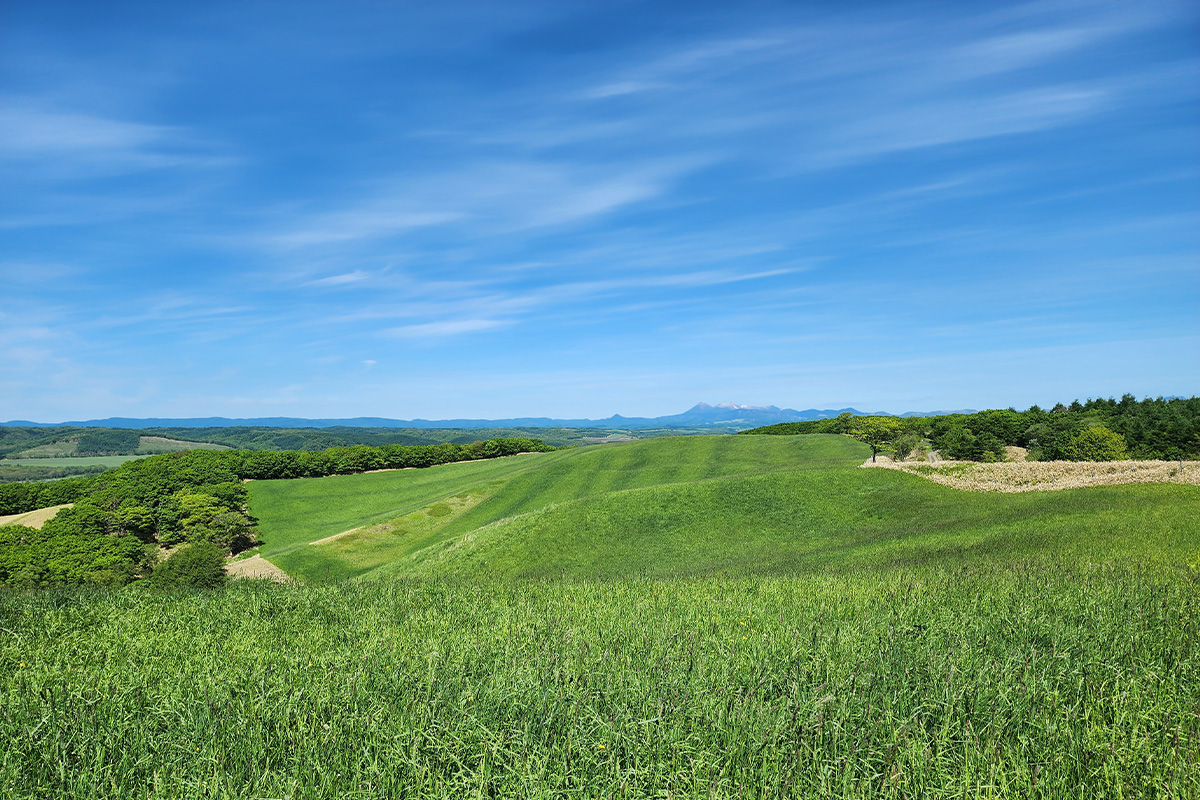 ギャラリー画像10