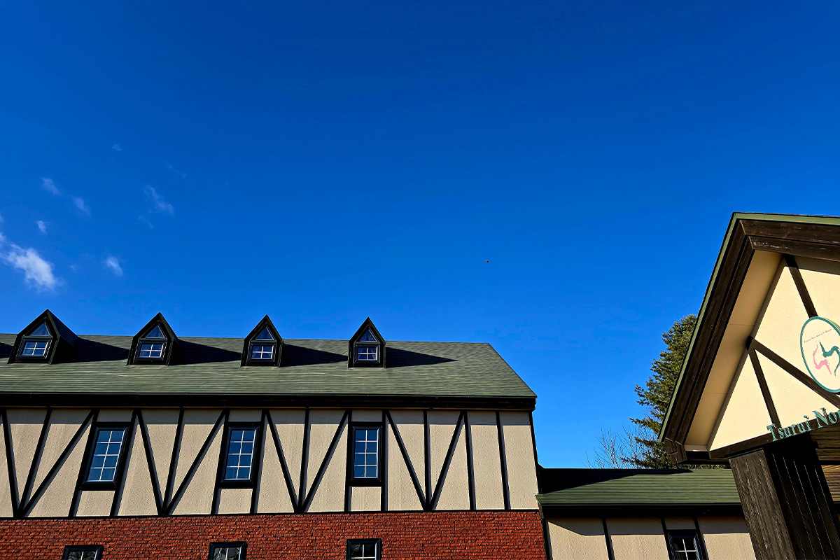 ギャラリー画像11